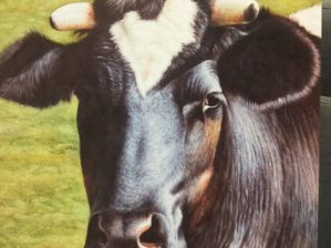 Wall Art Cow Painting